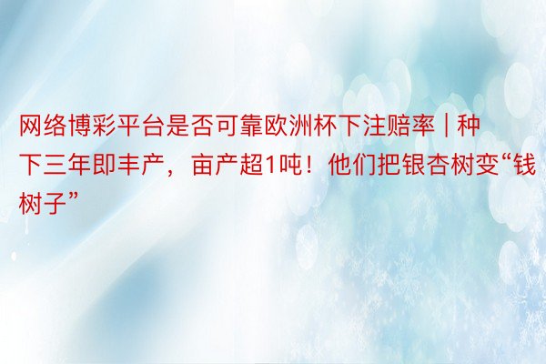 网络博彩平台是否可靠欧洲杯下注赔率 | 种下三年即丰产，亩产超1吨！他们把银杏树变“钱树子”