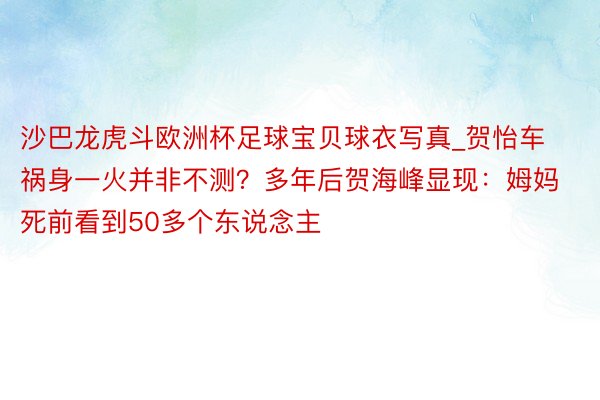 沙巴龙虎斗欧洲杯足球宝贝球衣写真_贺怡车祸身一火并非不测？多年后贺海峰显现：姆妈死前看到50多个东说念主