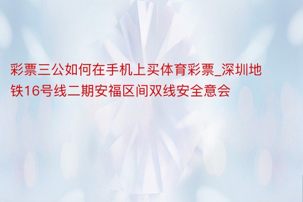 彩票三公如何在手机上买体育彩票_深圳地铁16号线二期安福区间双线安全意会